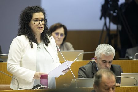 Deputada do GPPS Patrícia Miranda (1)