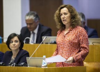 Plenário – Os Açorianos esperam mais ação na prevenção e combate às dependências, alerta Célia Pereira