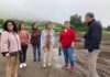 Juntas de Freguesia dos Açores precisam de recursos humanos para assegurarem serviços públicos, afirma Sandra Dias Faria