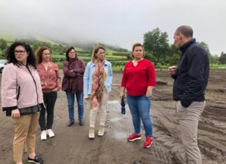 Juntas de Freguesia dos Açores precisam de recursos humanos para assegurarem serviços públicos, afirma Sandra Dias Faria