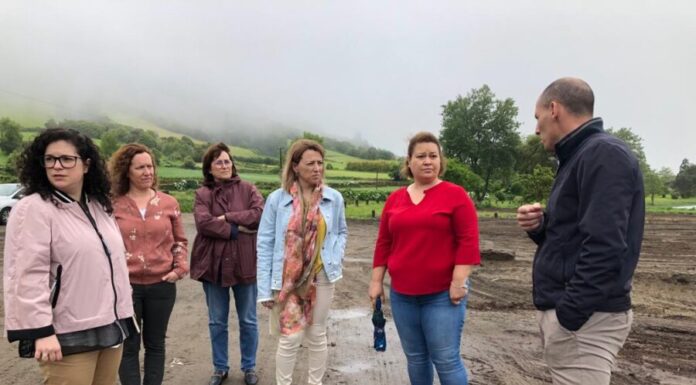 Juntas de Freguesia dos Açores precisam de recursos humanos para assegurarem serviços públicos, afirma Sandra Dias Faria