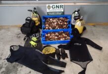Ilha Terceira – Apreensão de bivalves e material proibido de pesca