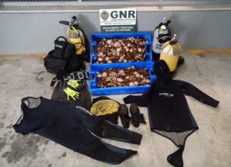 Ilha Terceira – Apreensão de bivalves e material proibido de pesca