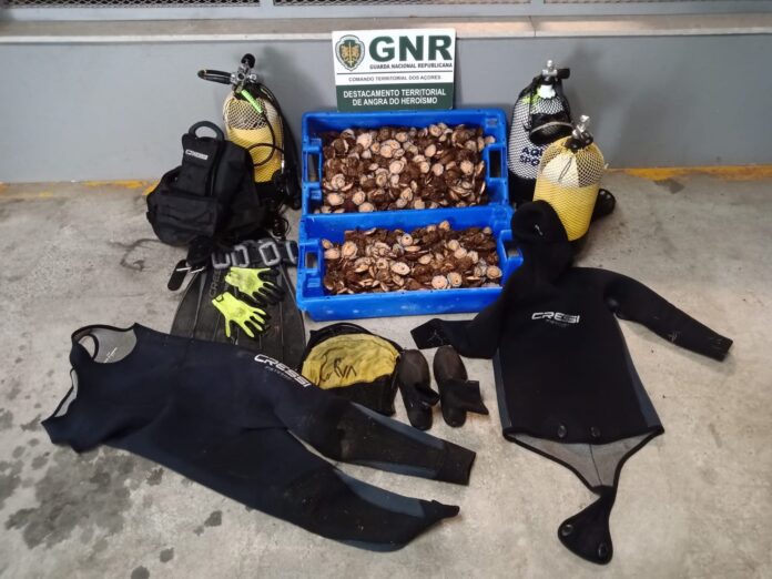 GNR Açores - Apreensão (4)