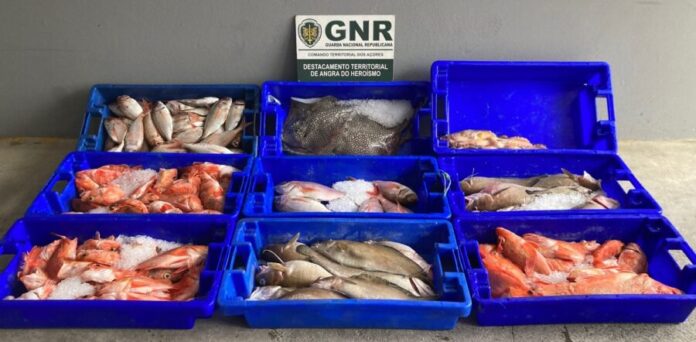 GNR Açores - Apreensão