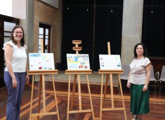 Banco de Artistas será requalificado com projeto premiado no Novo Bauhaus Europeu