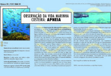 Projeto Faial 52- Observação da vida marinha costeira: Apneia