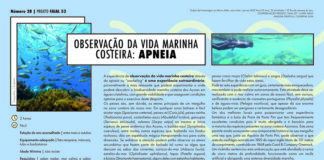 Projeto Faial 52- Observação da vida marinha costeira: Apneia
