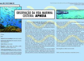 Projeto Faial 52- Observação da vida marinha costeira: Apneia