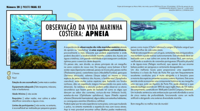 Projeto Faial 52- Observação da vida marinha costeira: Apneia