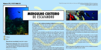 Projeto 52: Mergulho Costeiro de Escafandro