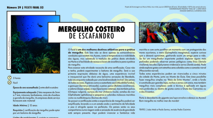 Projeto 52: Mergulho Costeiro de Escafandro