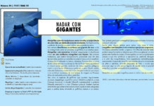 Projeto Faial 52: Nadar com gigantes