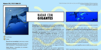 Projeto Faial 52: Nadar com gigantes