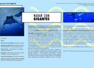 Projeto Faial 52: Nadar com gigantes