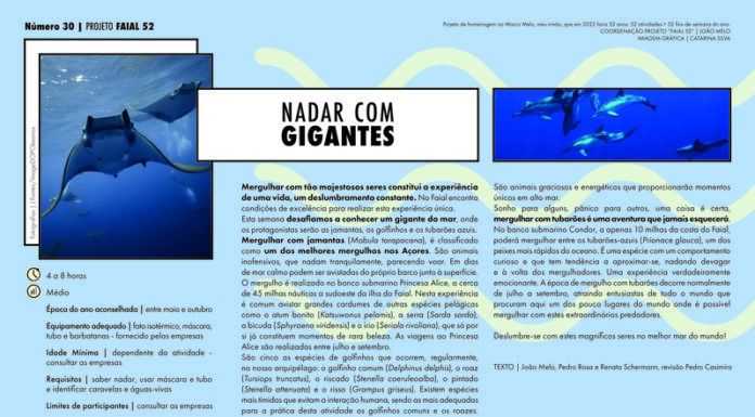 Projeto Faial 52: Nadar com gigantes