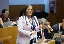 Plenário – Juntas de freguesia. PSD quer “resolver problemas” em vez de “continuar a adiar como o PS”