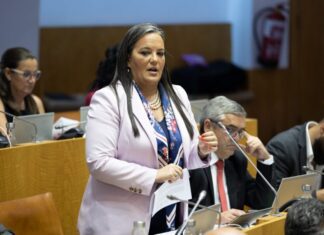 Plenário – Juntas de freguesia. PSD quer “resolver problemas” em vez de “continuar a adiar como o PS”