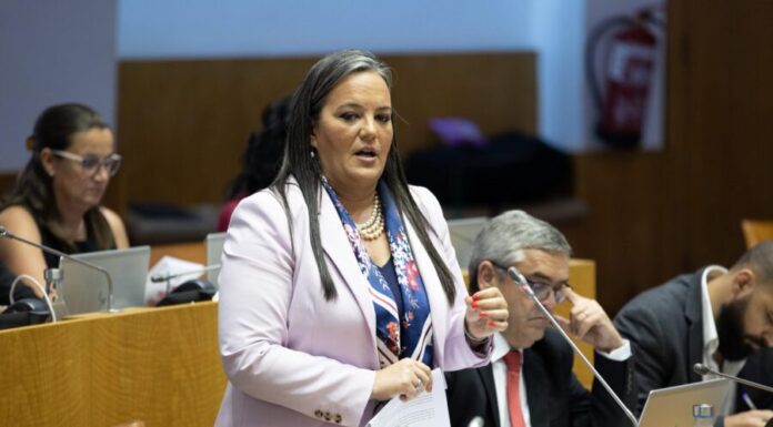 Plenário – Juntas de freguesia. PSD quer “resolver problemas” em vez de “continuar a adiar como o PS”