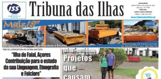 Capa edição n.º 1036, 8 de julho