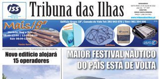 Capa edição n.º 1037, 15 de julho