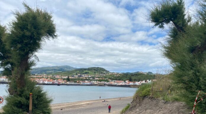 Bloco questiona Governo sobre destruição na duna de Porto Pim que está a ser alvo de projeto europeu de conservação
