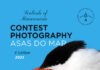 A associação Asas do Mar lança concurso de fotografia “Aves Marinhas da Macaronésia”