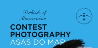 A associação Asas do Mar lança concurso de fotografia “Aves Marinhas da Macaronésia”