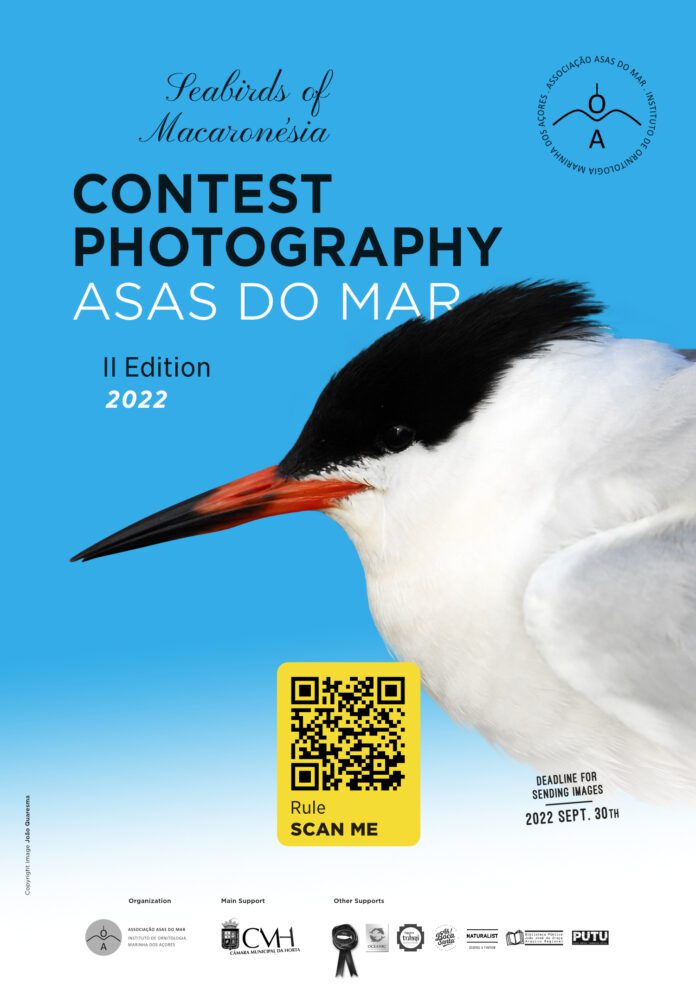 ioma_2_concurso_fotografia_cartaz_A3_EN_v3