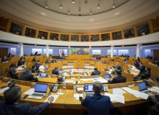 Anda comigo discutir os aviões: o passado e o futuro da SATA marcaram o debate no Parlamento