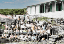 Colorindo o preto e branco: Vindimas no Varadouro