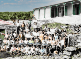 Colorindo o preto e branco: Vindimas no Varadouro