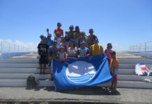 Serviços de Ambiente da Câmara Municipal removem espécie invasora da praia do Pópulo