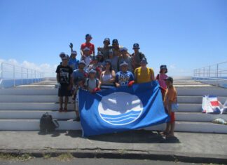 Serviços de Ambiente da Câmara Municipal removem espécie invasora da praia do Pópulo