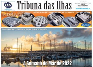 Capa edição n.º 1042, 19 de agosto