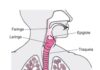 CLICK SAÚDE & BEM ESTAR – Fisioterapia Respiratória