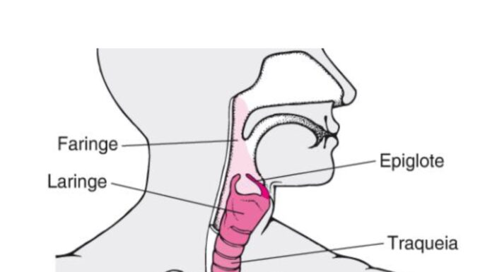 CLICK SAÚDE & BEM ESTAR – Fisioterapia Respiratória