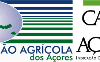 A indústria regional tem de retificar a estratégia adotada no preço do leite pago aos produtores