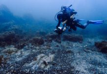 ARQUEOLOGIA SUBAQUÁTICA – Porto Pim escondia ainda mais de uma nau do século XVII