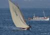 BOTES BALEEIROS – Pico domina XI Regata Internacional XI Regata Internacional