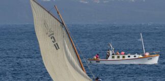 BOTES BALEEIROS – Pico domina XI Regata Internacional XI Regata Internacional