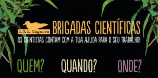 Brigadas Científicas do SOS Cagarro de volta