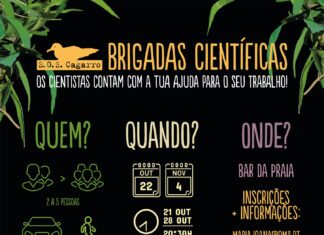 Brigadas Científicas do SOS Cagarro de volta