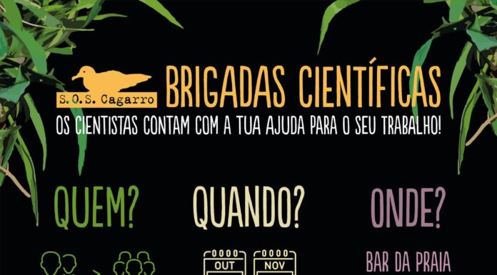 Brigadas Científicas do SOS Cagarro de volta