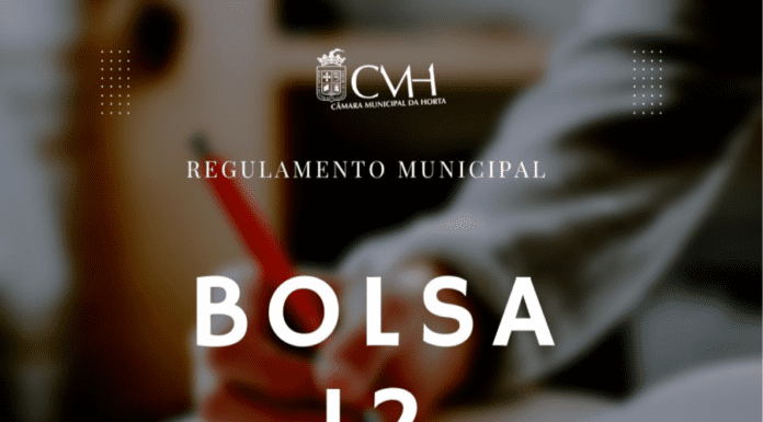 Abertas candidaturas ao Bolsa 12