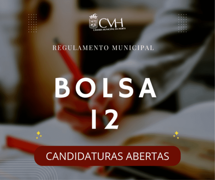 Bolsa12 (1)