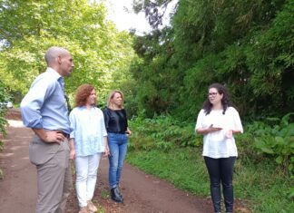 Governo Regional corta 5 milhões de euros no investimento para a Agricultura em 2023, alerta PS/Açores