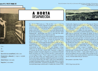 Projeto Faial 52: A Horta Desaparecida
