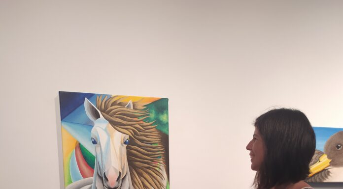 “A minha pintura relaciona-se com aquilo em que eu acredito, aquilo que eu acho importante, e aquilo de que eu gosto”