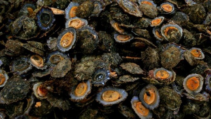 lapas